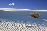 White Sands_32024